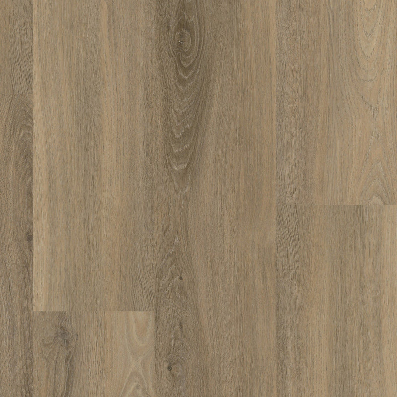 Staal van Ambiant Avanto Smoky | Dryback Lijm PVC