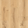 Beautifloor Citta Padova | Dryback Plak PVC