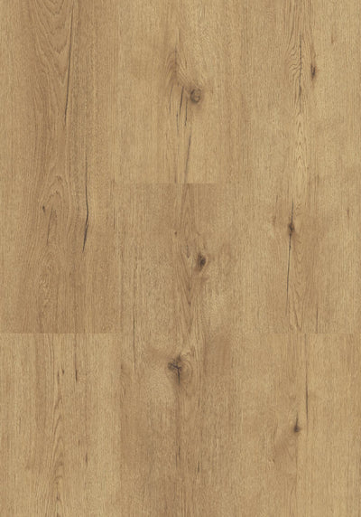 Beautifloor Regione Umbrie | Dryback Plak PVC
