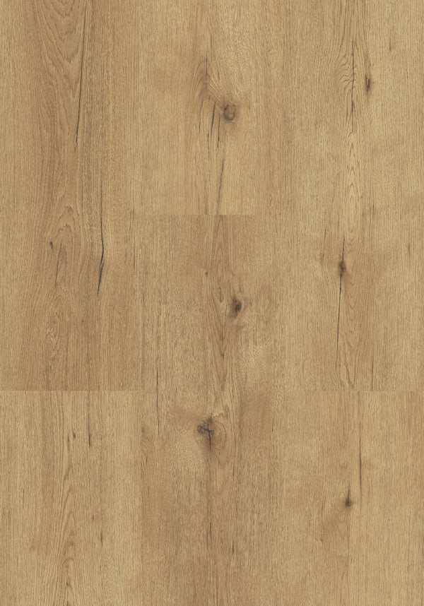 Beautifloor Regione Umbrie | Dryback Plak PVC