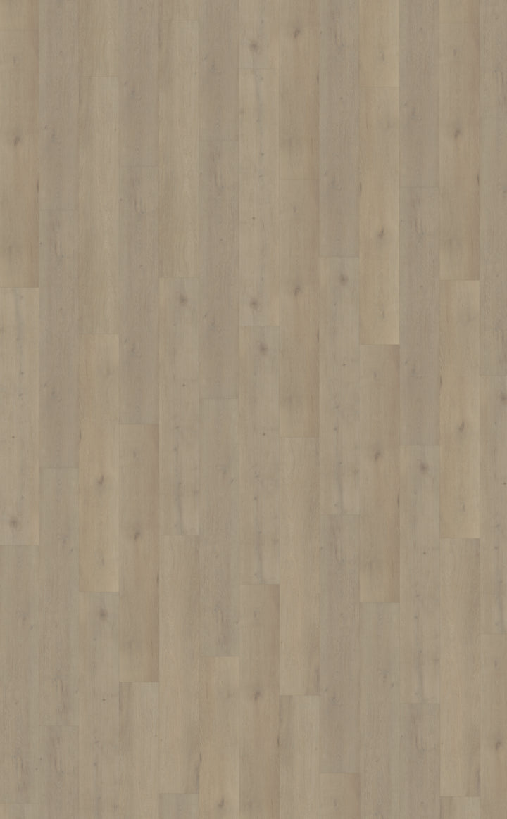 Belakos Attico 850 | Rigid Click PVC