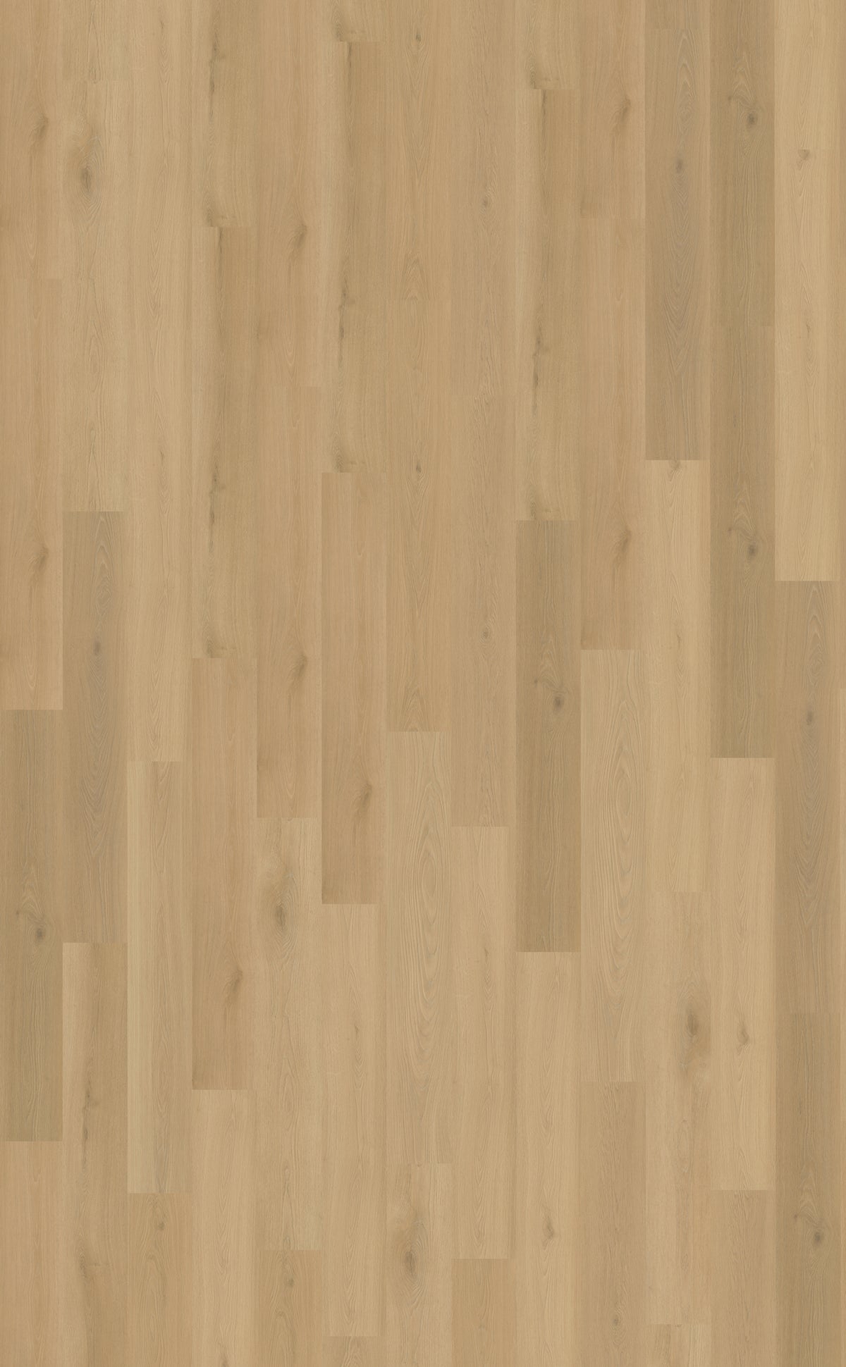 Belakos Borgo Plank 300 | Rigid Click PVC