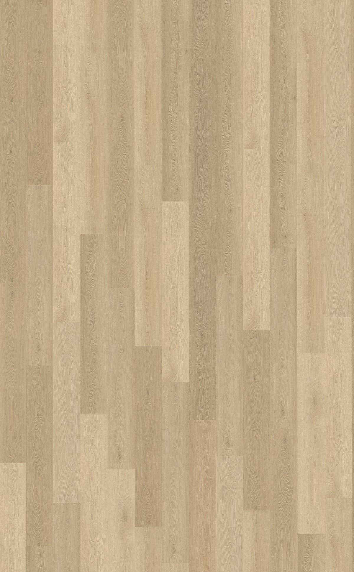 Belakos Borgo Plank 310 | Dryback Lijm PVC