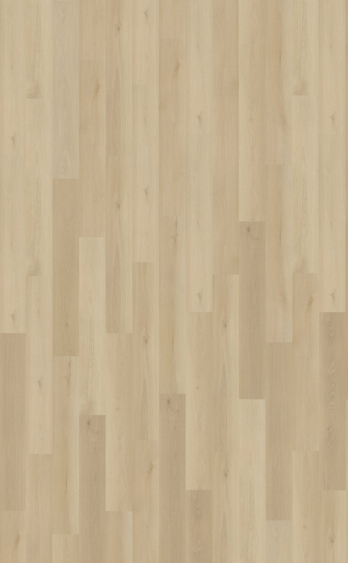 Belakos Borgo Plank 330 | Rigid Click PVC