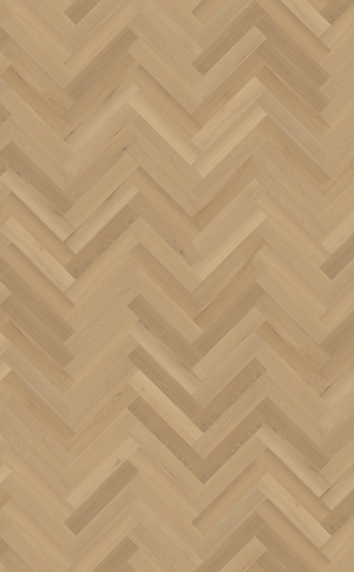 Belakos Borgo Visgraat XL 30 | Rigid Klik PVC