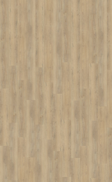 Belakos Palazzo 720 | Dryback Lijm PVC