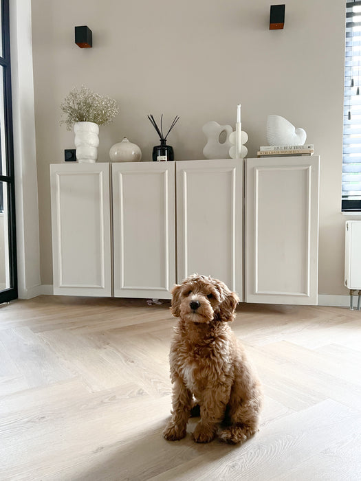 Belakos Palazzo Visgraat XL 72 | Rigid Click PVC