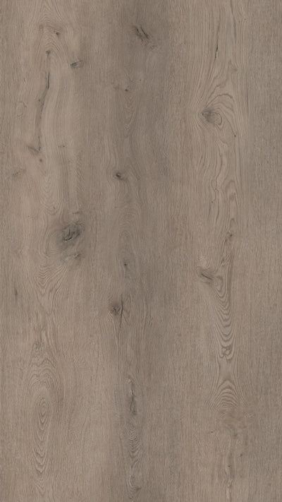 COREtec XL-End 2594 Belvoir | Click PVC