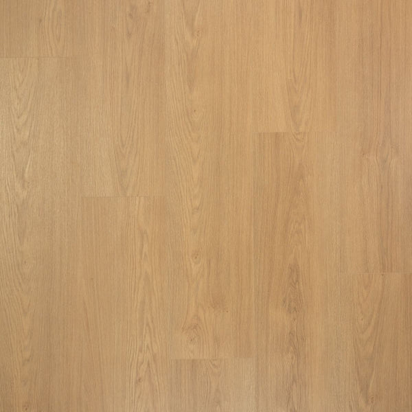 Douwes Dekker Kaviaar | Extra lange plank | 4V-Groef Laminaat