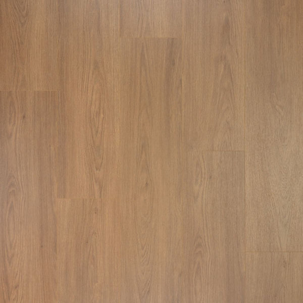 Douwes Dekker Brede Plank Olijf | Laminaat 2V-Groef