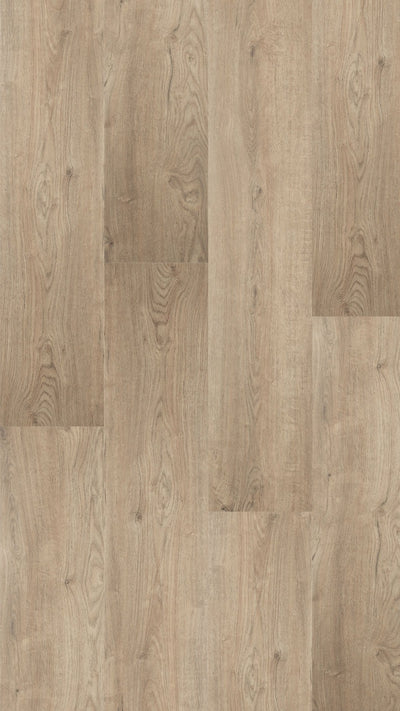 Hebeta Largo XXL Plank 501326 | Dryback Lijm PVC