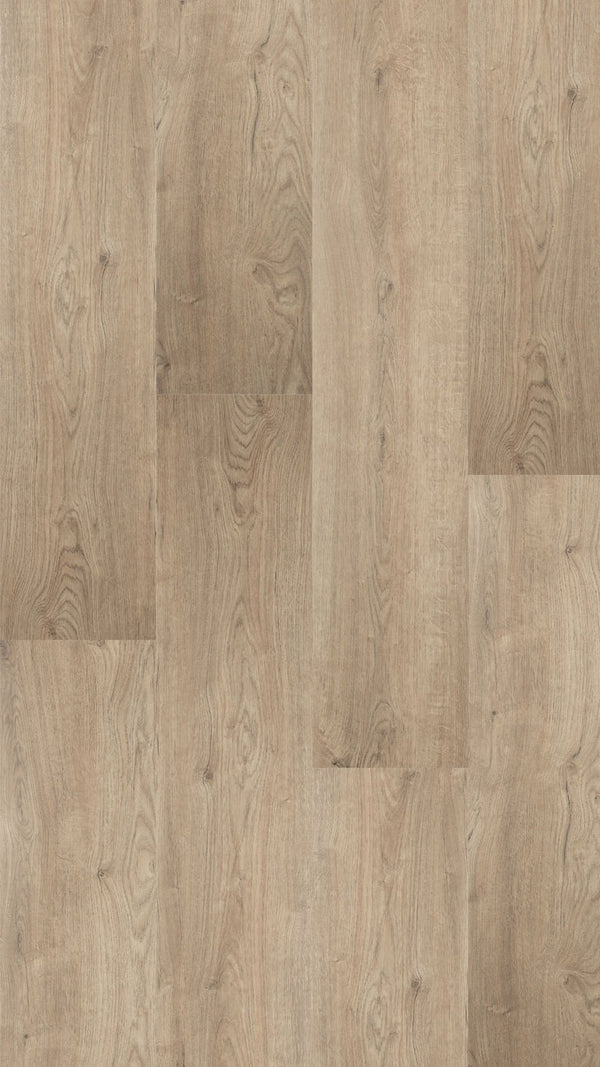 Hebeta Largo XXL Plank 501326 | Dryback Lijm PVC