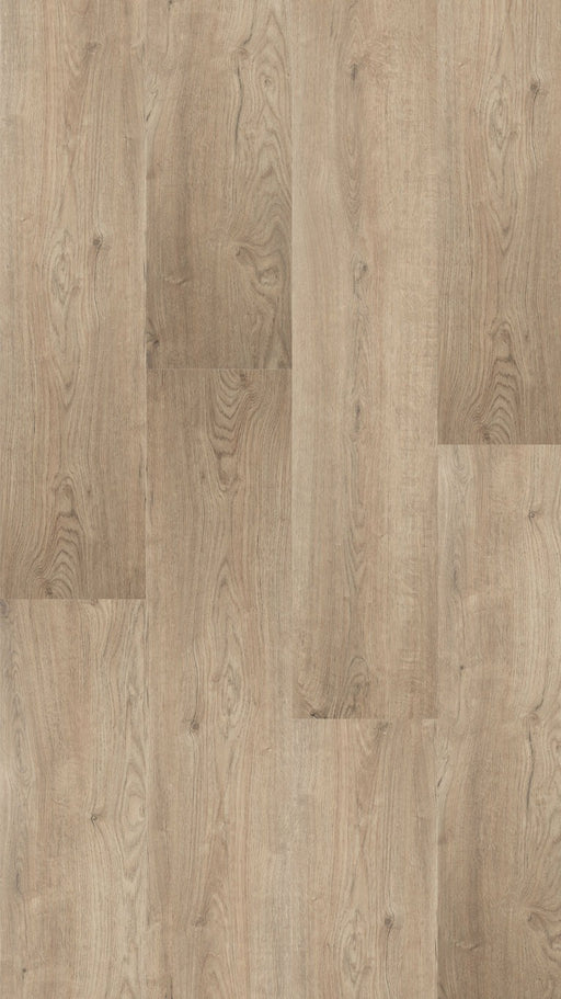Montinique Largo XXL Plank 501326 - Dryback Plak PVC - afbeelding 2