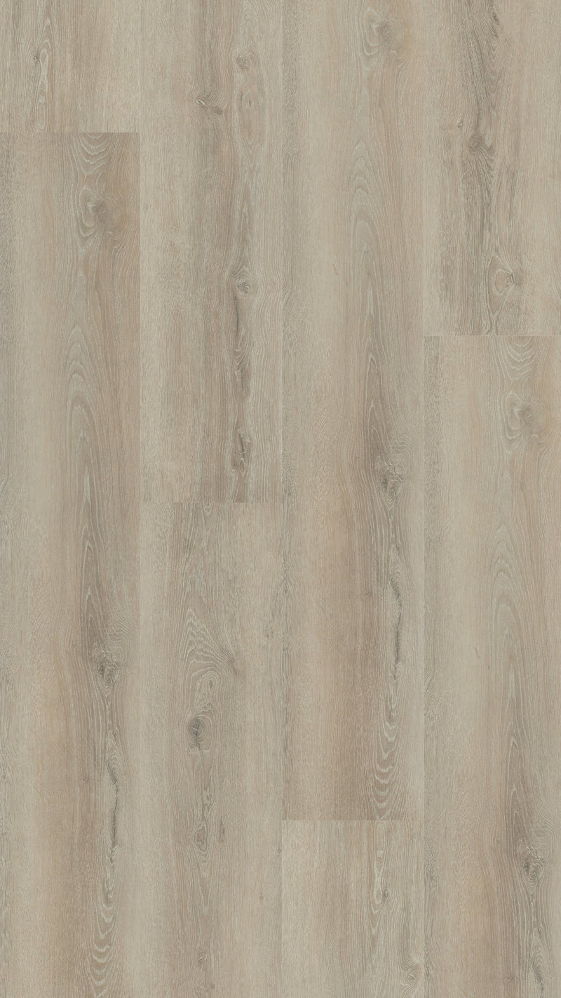 Staal van Hebeta Progress XL Plank 54816 | Dryback Lijm PVC