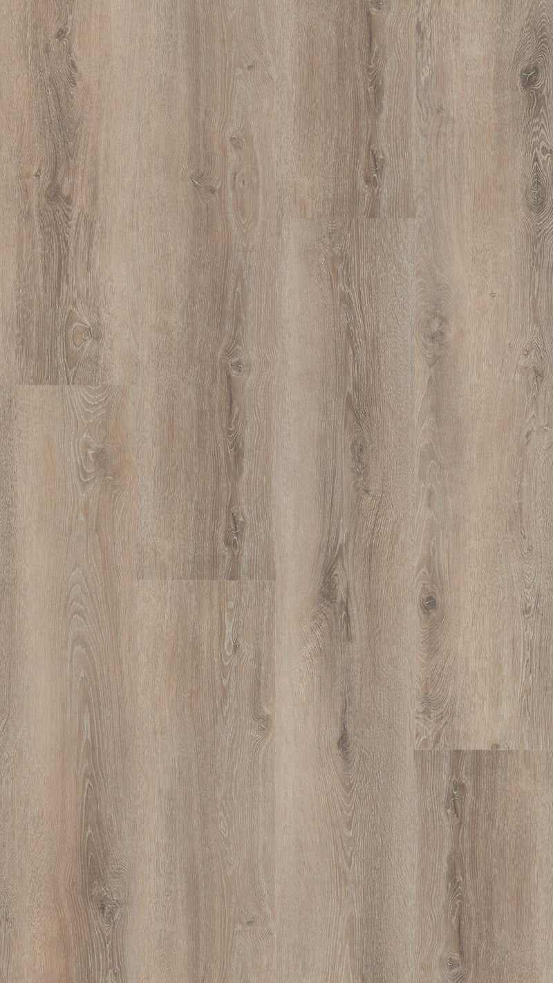 Staal van Hebeta Progress XL Plank 54817 | Dryback Lijm PVC
