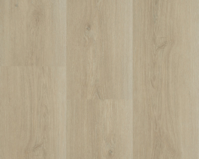 Staal van Hebeta Charente XL Plank 5460 | Dryback Lijm PVC