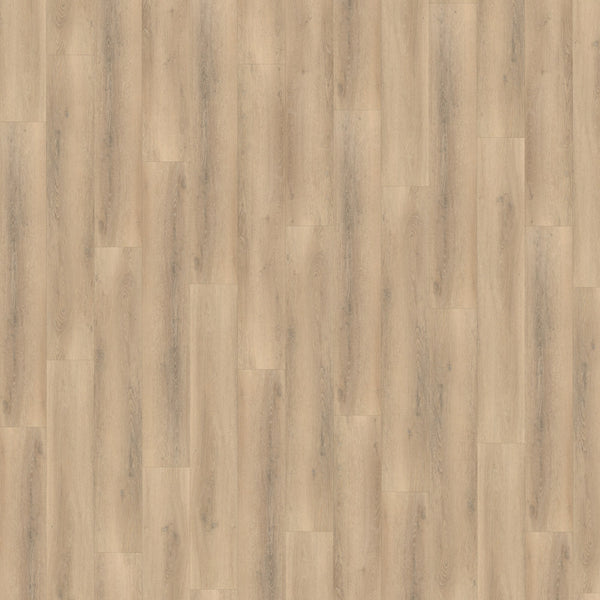 Belakos Palazzo 750 | Dryback Lijm PVC