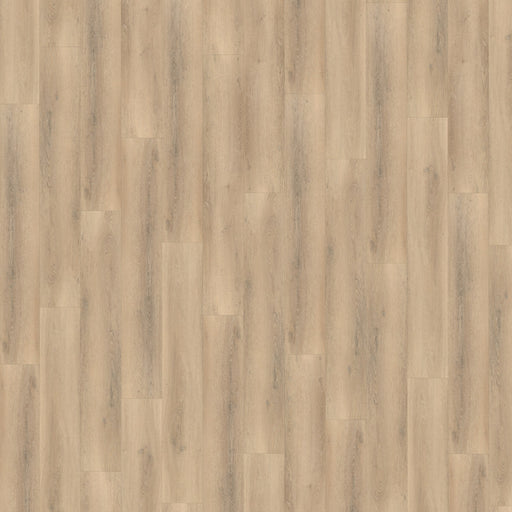 Vloerfoto Belakos Palazzo 750 | Dryback Lijm PVC