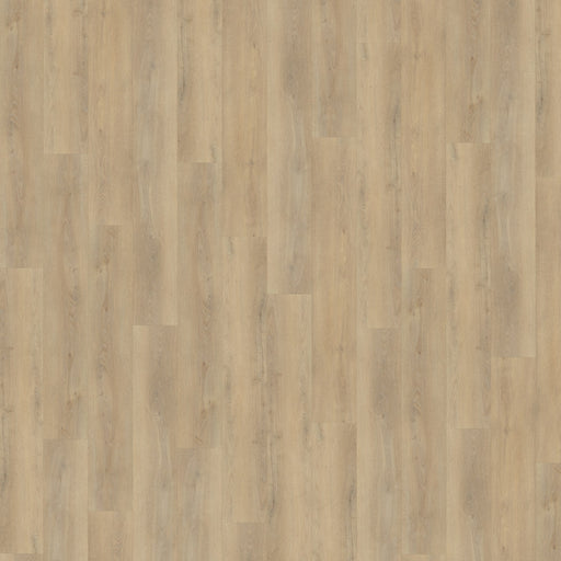 Vloerfoto Belakos Palazzo 720 | Dryback Lijm PVC