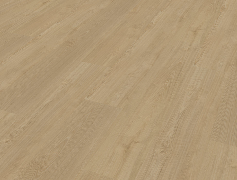 Belakos Portico Plank 560 | Rigid Klik PVC