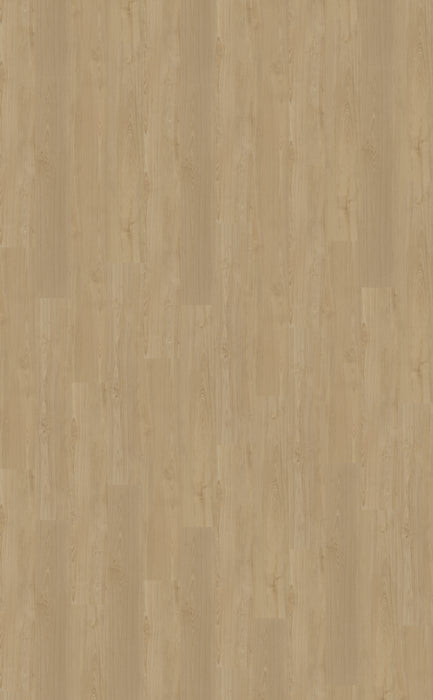 Belakos Portico Plank 560 | Rigid Klik PVC