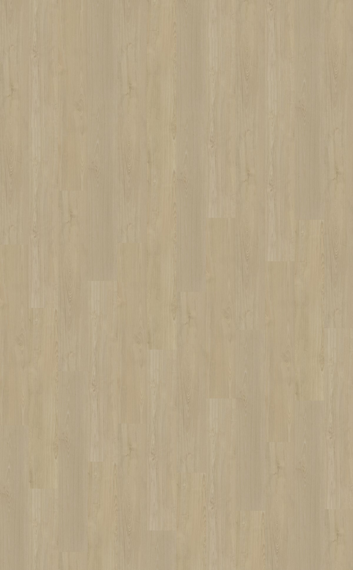 Belakos Portico Plank 570 | Rigid Klik PVC