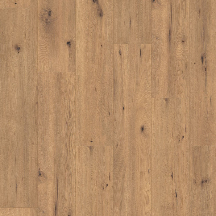 Vloerfoto Hoomline Aqua Large Drift Oak - Laminaat