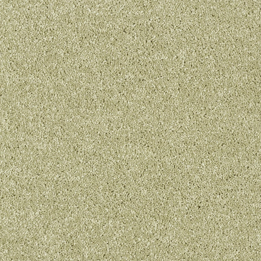 Belakos Award vloerkleed op maat kleur 24 Groen