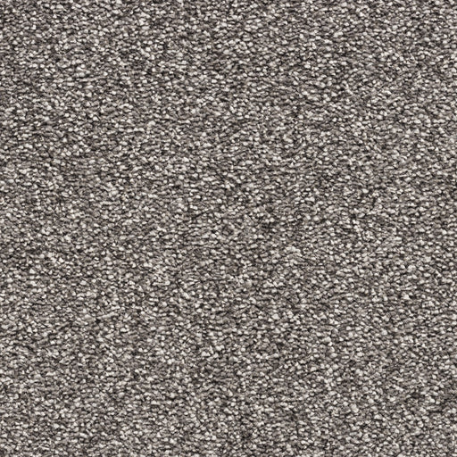 Belakos Capture vloerkleed op maat kleur 91 Beige