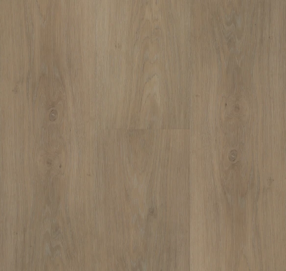 Staal van Hebeta Chapelle XL Plank 54843 - Dryback Lijm PVC