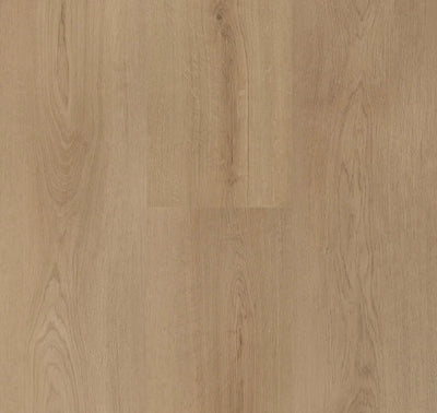 Hebeta Clermont XL Plank 54820 | Dryback Lijm PVC