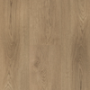 Hebeta Clermont XL Plank 54822 - Dryback Lijm PVC