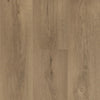 Hebeta Clermont XL Plank 54825 - Dryback Lijm PVC