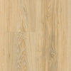 Moduleo - Roots - Blackjack Oak 22220 - Plak PVC