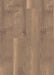 mFLOR 41815 Broad Leaf Warm Sycamore | Dryback Plak PVC