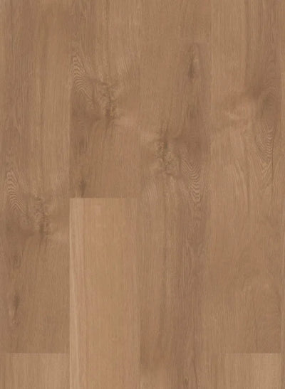 mFLOR 41822 Broad Leaf Pure Sycamore | Dryback Plak PVC