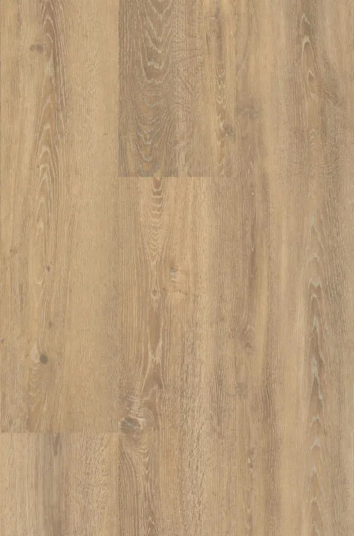 mFLOR 56314 Authentic Oak XL Piedmont | Dryback Plak PVC