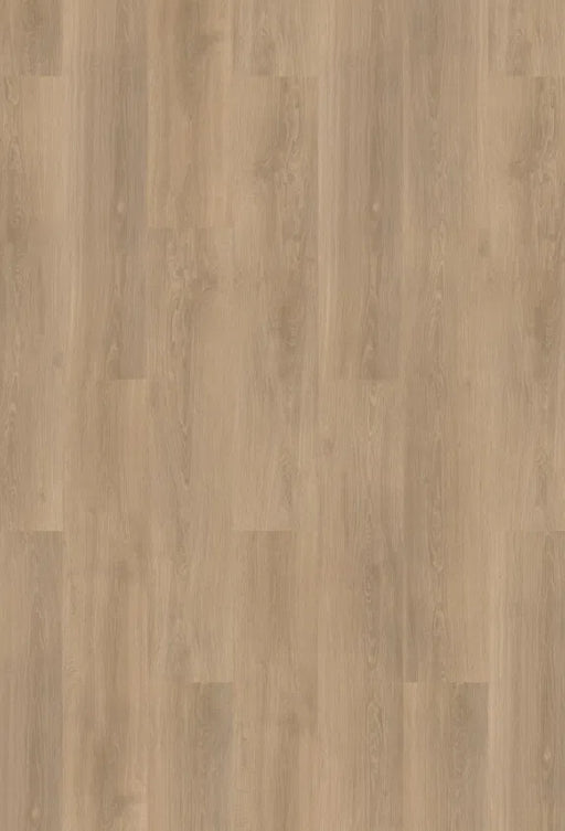 mFLOR River Oak 63019 Rhone | Dryback Lijm PVC