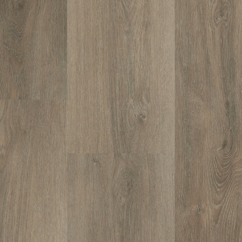 Staal van Montinique Charente XL Plank 5461 - Dryback Plak PVC