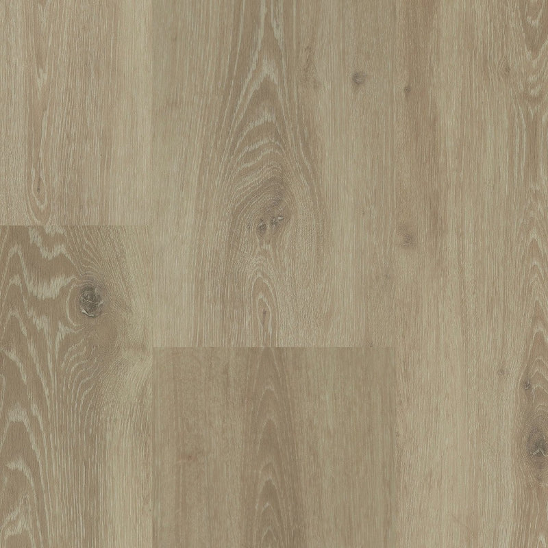 Staal van Montinique Chamonix XL Plank 54804 - Dryback Plak PVC