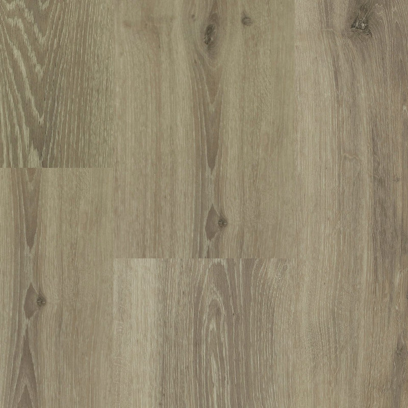 Staal van Montinique Chamonix XL Plank 54813 - Dryback Plak PVC