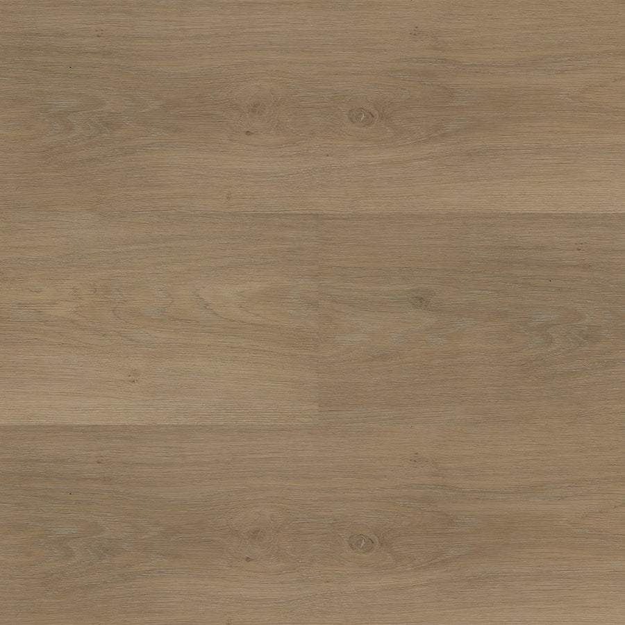 Montinique Chapelle XL Plank 54841 - Dryback Plak PVC