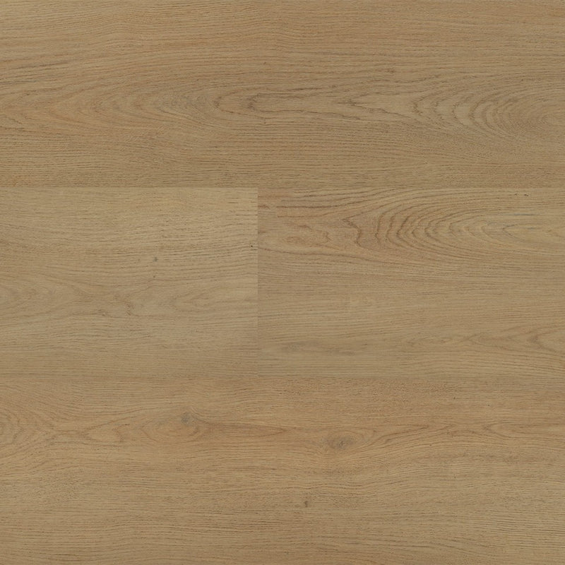 Staal van Montinique Chablis XL Plank 54854 - Dryback Plak PVC