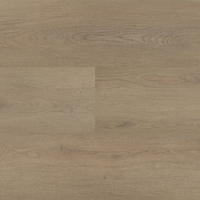 Montinique Chablis XL Plank 54855 - Dryback Plak PVC