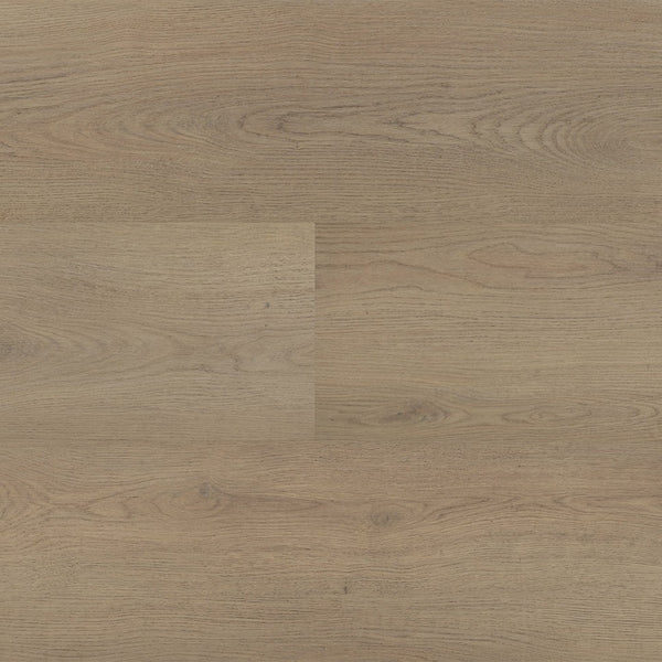 Montinique Chablis XL Plank 54855 - Dryback Plak PVC