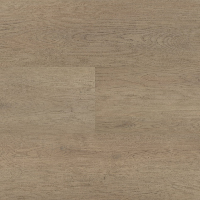 Staal van Montinique Chablis XL Plank 54855 - Dryback Plak PVC