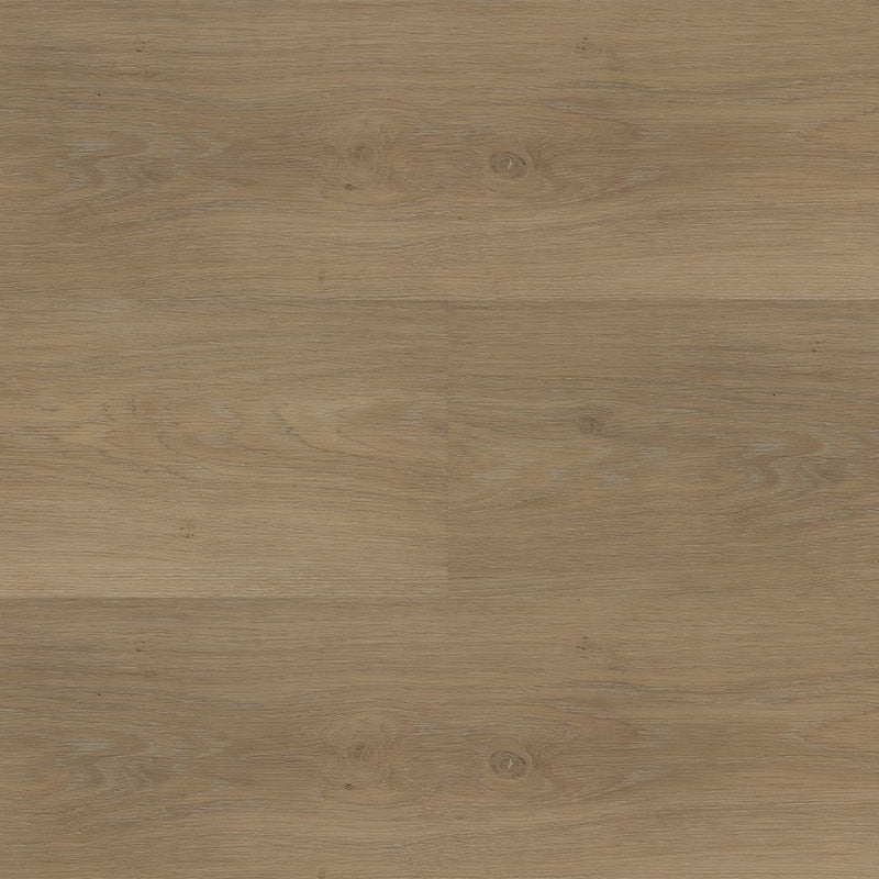 Staal van Montinique Chapelle XL Plank 55841 - Rigid Click PVC