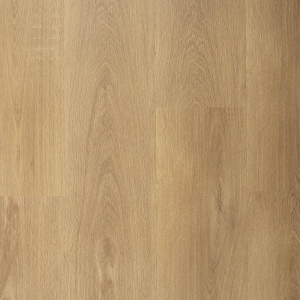 Sense G955 | Click PVC Rigid