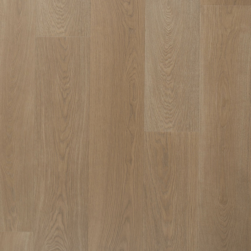 Staal van Solide plank Kervel | Douwes Dekker | Pressed bevel 4V-Groef