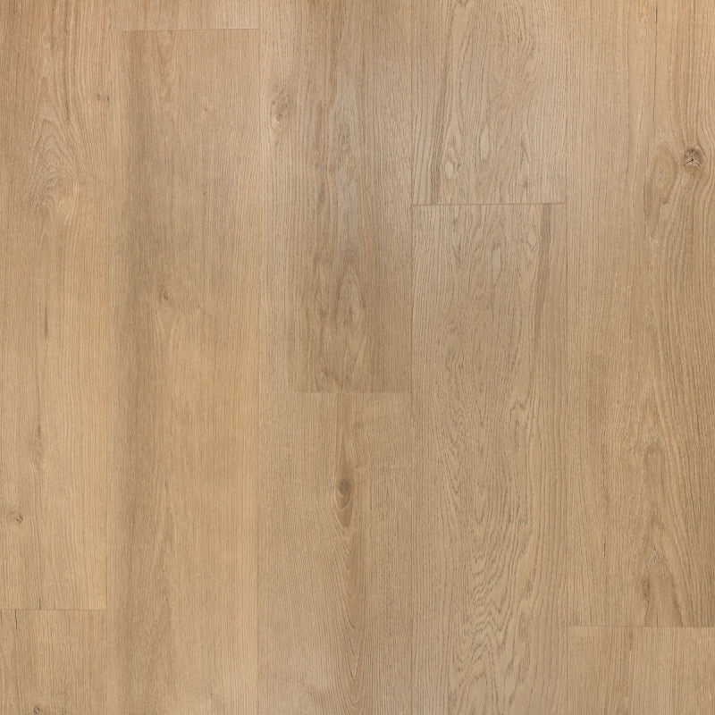 Staal van Riante plank Gemberkoek | Douwes Dekker | Dryback Plak PVC